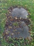 image of grave number 397236